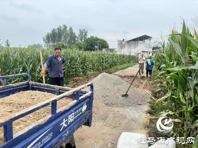 確山縣李新店鎮(zhèn)：暢通“糧道” 夯實秋收基礎
