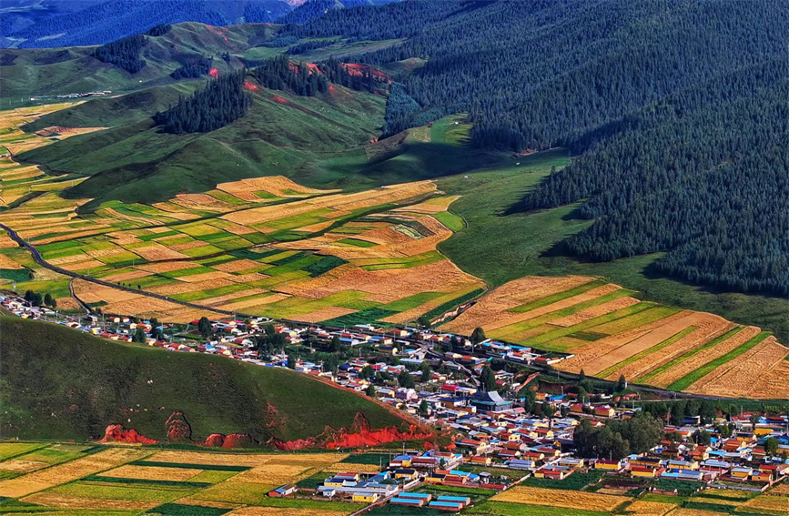 祁連山下好“豐”光