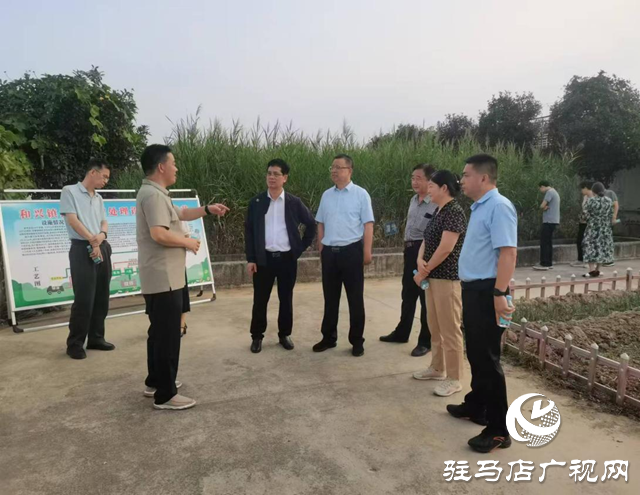 駐馬店市政協(xié)開展農(nóng)村生活污水處理設(shè)施運行情況民主監(jiān)督