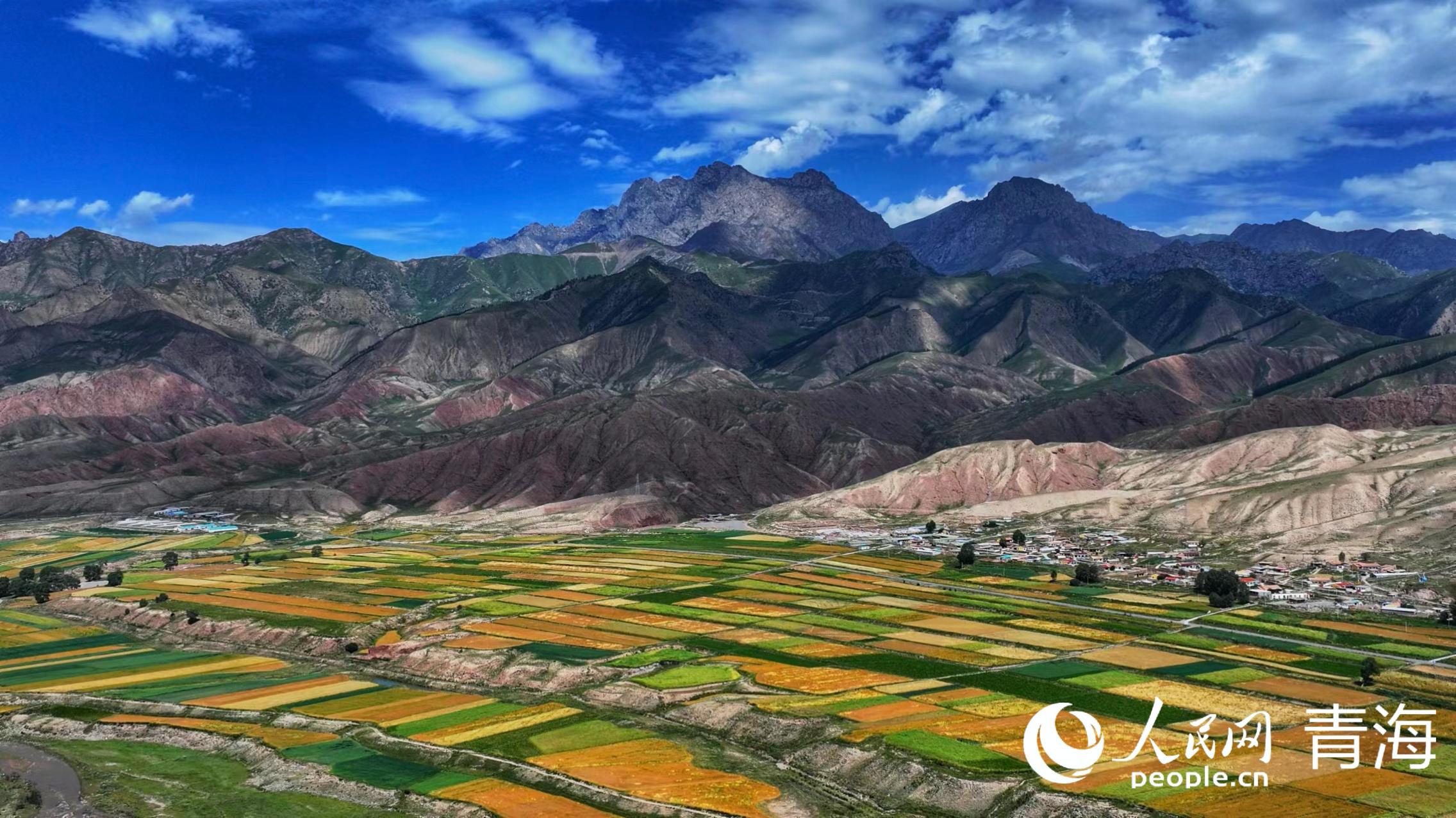 祁連山下好&ldquo;豐&rdquo;光