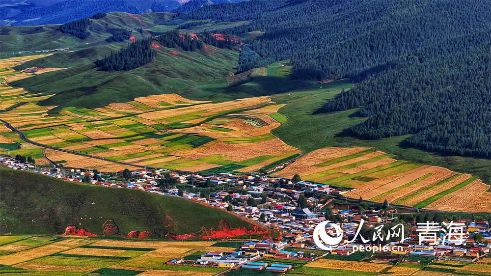 祁連山下好&ldquo;豐&rdquo;光