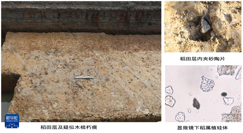 聚焦史前和夏文化重要考古發(fā)現(xiàn) 國家文物局通報3項考古最新進展