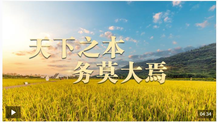 時政長鏡頭丨天下之本 務莫大焉