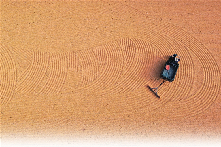 河聲丨金秋碩果農(nóng)民樂，鄉(xiāng)村盛景啟新途