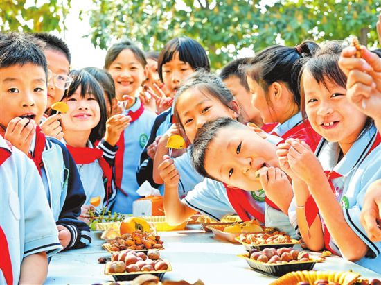 河南碗里的“森林糧”越來越豐富