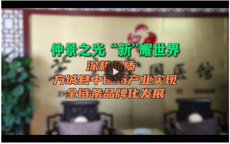 仲景之光 &ldquo;新&rdquo;耀世界丨深耕品質(zhì) 方城縣中醫(yī)藥產(chǎn)業(yè)實(shí)現(xiàn)全鏈條品牌化發(fā)展