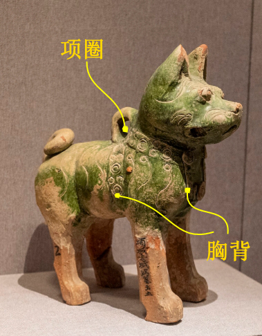 在河南博物館，古人申請(qǐng)和你交換一張小狗照片