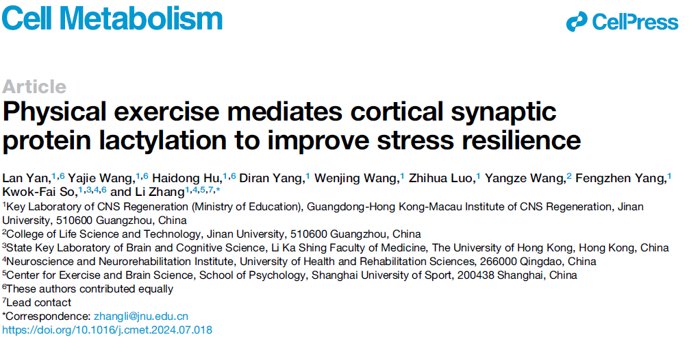 抗焦慮最佳方法來了！不是吃喝，也不是睡覺，而是做好這件事