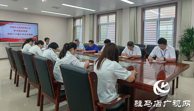 河南樂山電纜：以全會精神為指引 實現(xiàn)企業(yè)高質(zhì)量發(fā)展