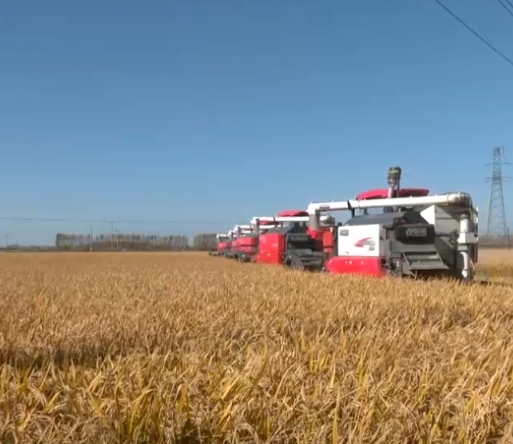 種糧有資金、賣糧有途徑 全過程保障讓農(nóng)民收好糧、賣好糧