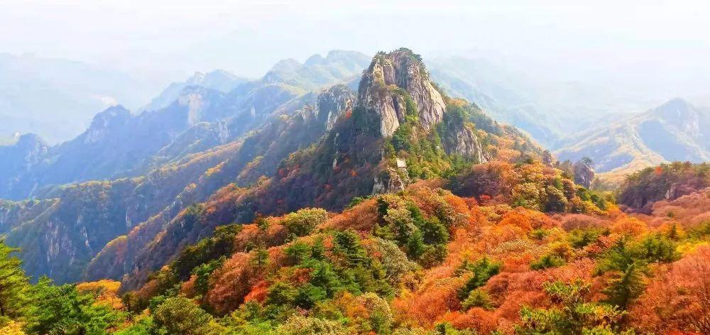 河南紅葉進(jìn)入最佳觀賞期！這10個(gè)景點(diǎn)，周末推薦帶娃去！