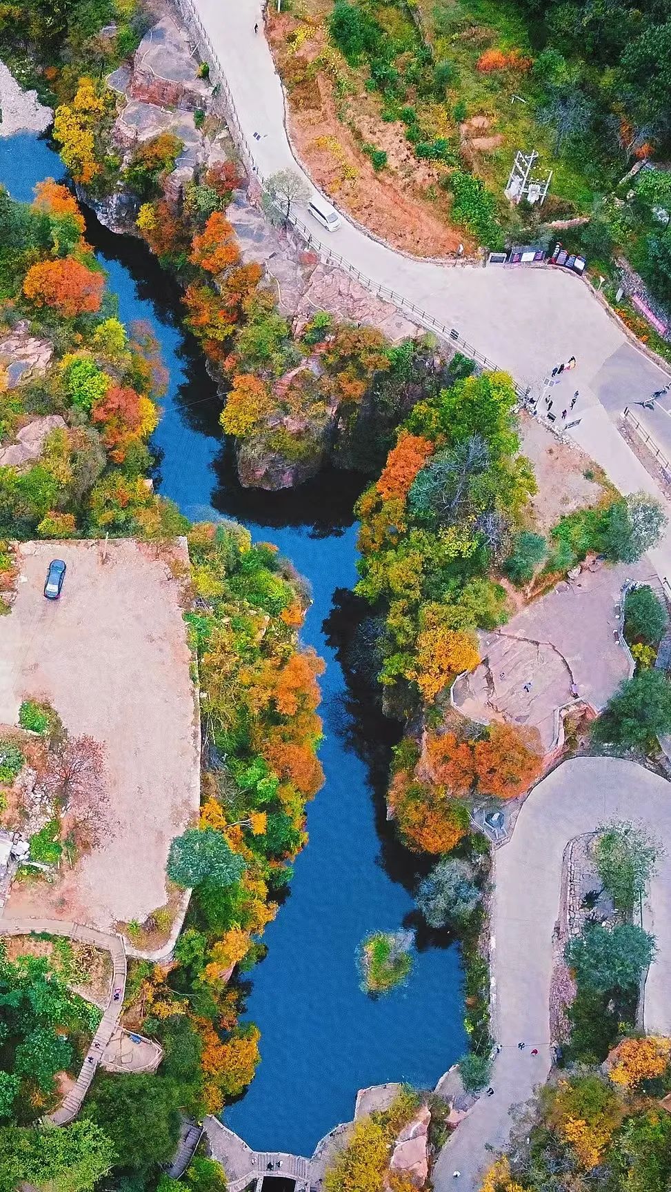 河南紅葉進(jìn)入最佳觀賞期！這10個(gè)景點(diǎn)，周末推薦帶娃去！