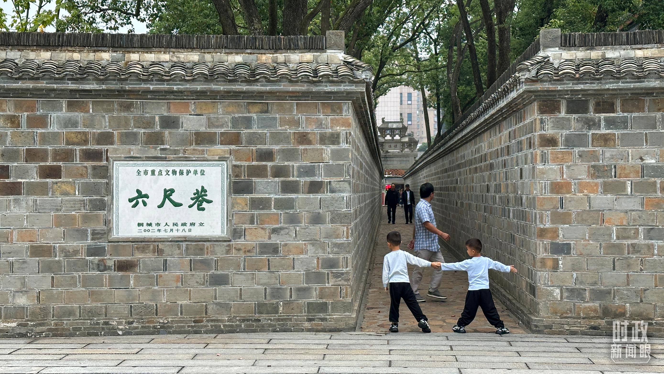 時政新聞眼丨第三次赴安徽考察，習(xí)近平為何強(qiáng)調(diào)發(fā)揮這一優(yōu)勢？