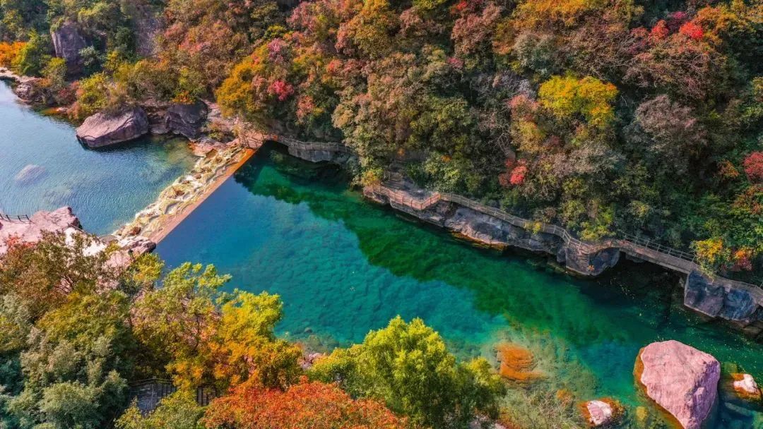 河南紅葉進(jìn)入最佳觀賞期！這10個(gè)景點(diǎn)，周末推薦帶娃去！