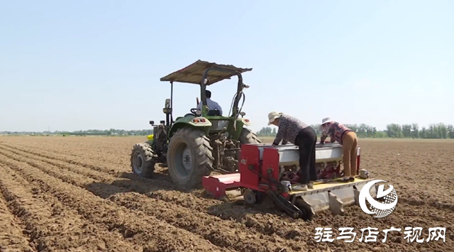 小麥播種：深耕細種 打牢夏糧生產(chǎn)基礎(chǔ)