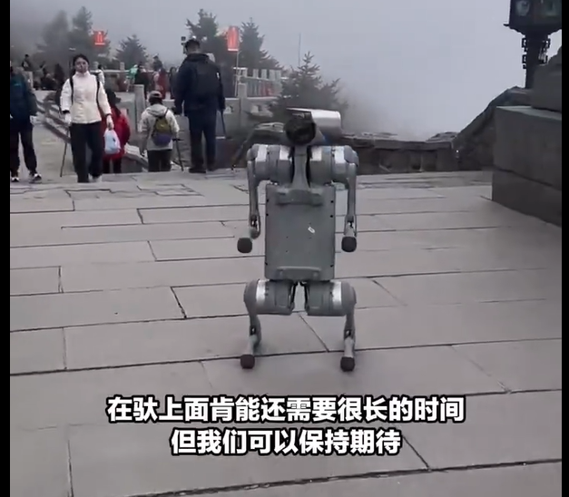 泰山“機(jī)器狗”火到海外？華春瑩點(diǎn)贊