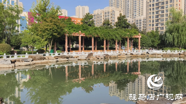 泌陽縣盤古文化園:金秋時節(jié)展風(fēng)情