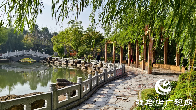 泌陽縣盤古文化園:金秋時節(jié)展風(fēng)情