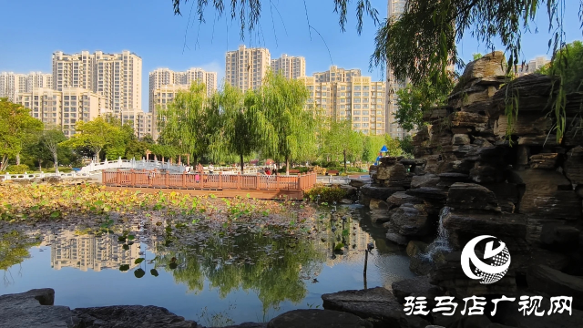 泌陽縣盤古文化園:金秋時節(jié)展風(fēng)情