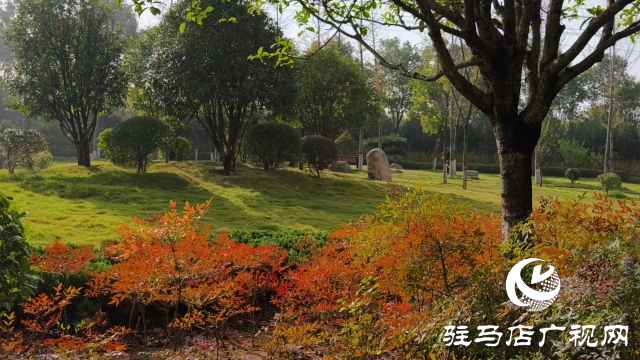 泌陽縣盤古文化園:金秋時節(jié)展風(fēng)情