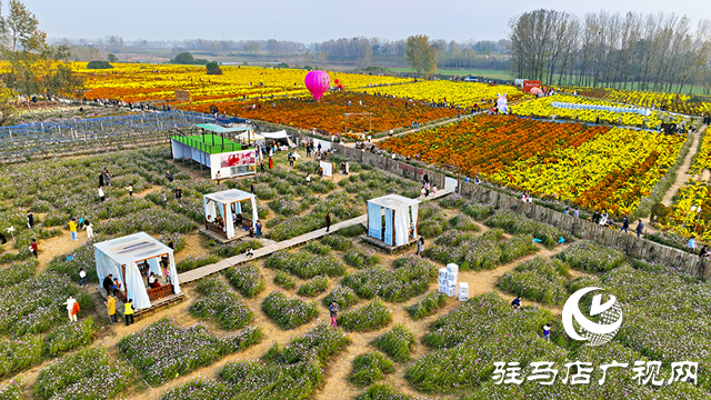 驛城區(qū)諸市鎮(zhèn)魏莊村：天邊花海醉游人