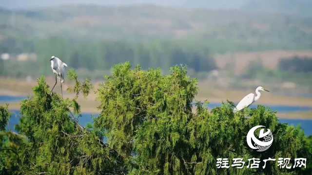 銅山湖之美:人在岸邊走 似在畫中游