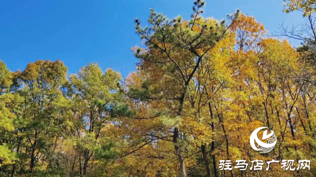 銅山湖之美:人在岸邊走 似在畫中游