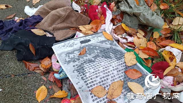 綠化帶成了“垃圾帶” 環(huán)境臟亂誰來管？