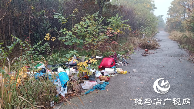 綠化帶成了“垃圾帶” 環(huán)境臟亂誰來管？