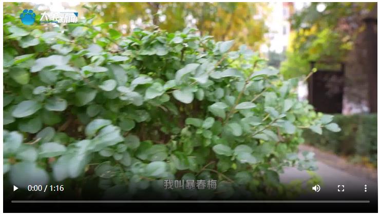 江&middot;來丨焦作：路過的&ldquo;南水&rdquo;讓生活有點&ldquo;甜&rdquo;