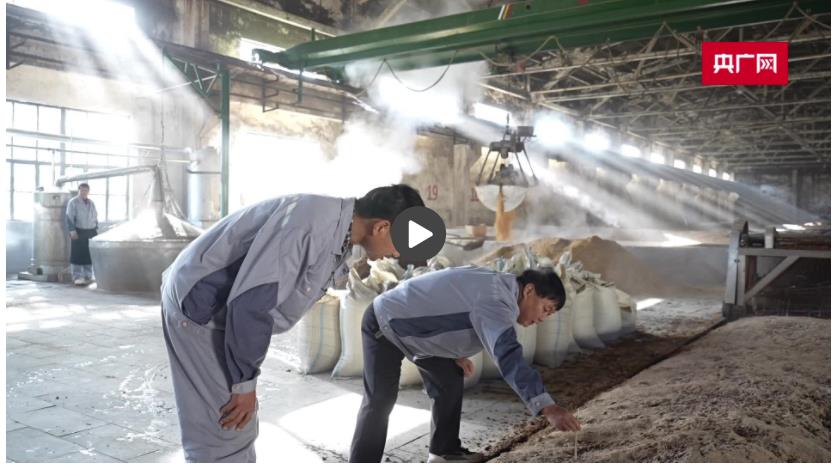 中國(guó)夢(mèng)&middot;大國(guó)工匠篇丨何惠昭：熱愛長(zhǎng) 美酒香