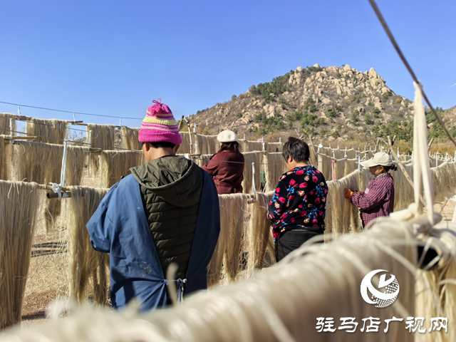 駐馬店市驛城區(qū)：紅薯產(chǎn)業(yè)鼓起村民“錢袋子”