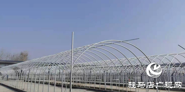 泌陽(yáng)縣：推動(dòng)食用菌產(chǎn)業(yè)高質(zhì)量發(fā)展