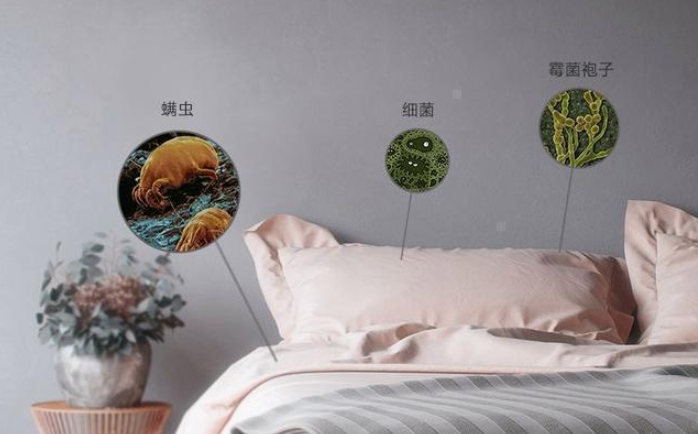 塵螨喜歡潛伏在何處?留意室內塵螨暴露9大風險點