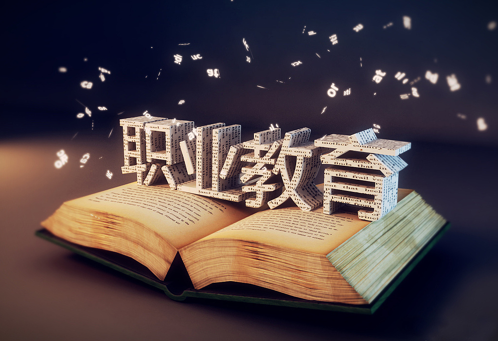 要“新”也要“高端” 職業(yè)教育如何育能工巧匠？