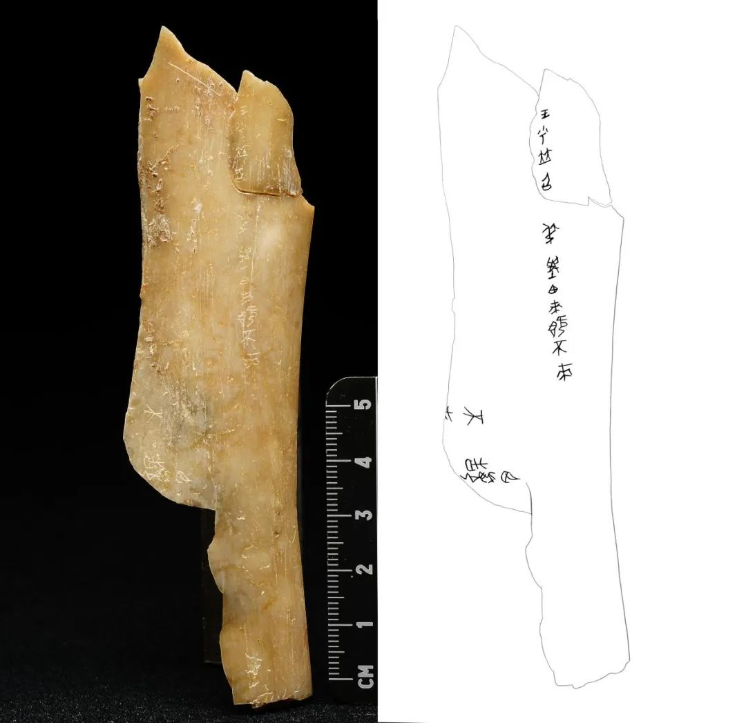 重大發(fā)現(xiàn)！首次出土有&ldquo;秦人&rdquo;字樣甲骨