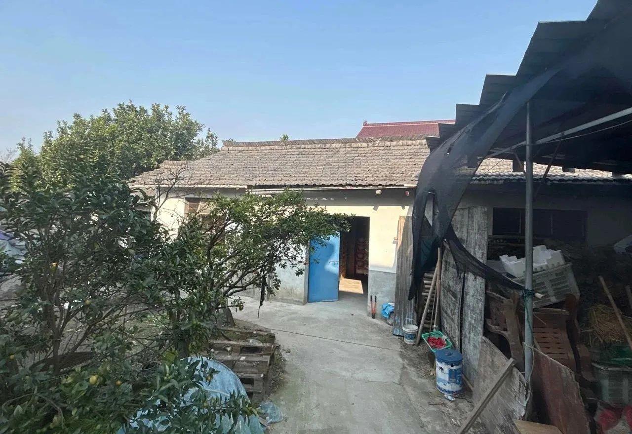 朋友圈售賣煙花爆竹？小心違法！