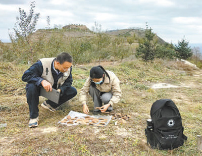 從摸底到保護(hù)