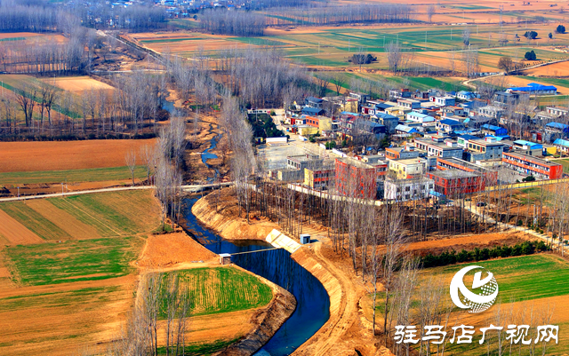 泌陽(yáng)縣黃山口鄉(xiāng)：走穩(wěn)小麥“田管棋”，繪就夏收好“豐”景