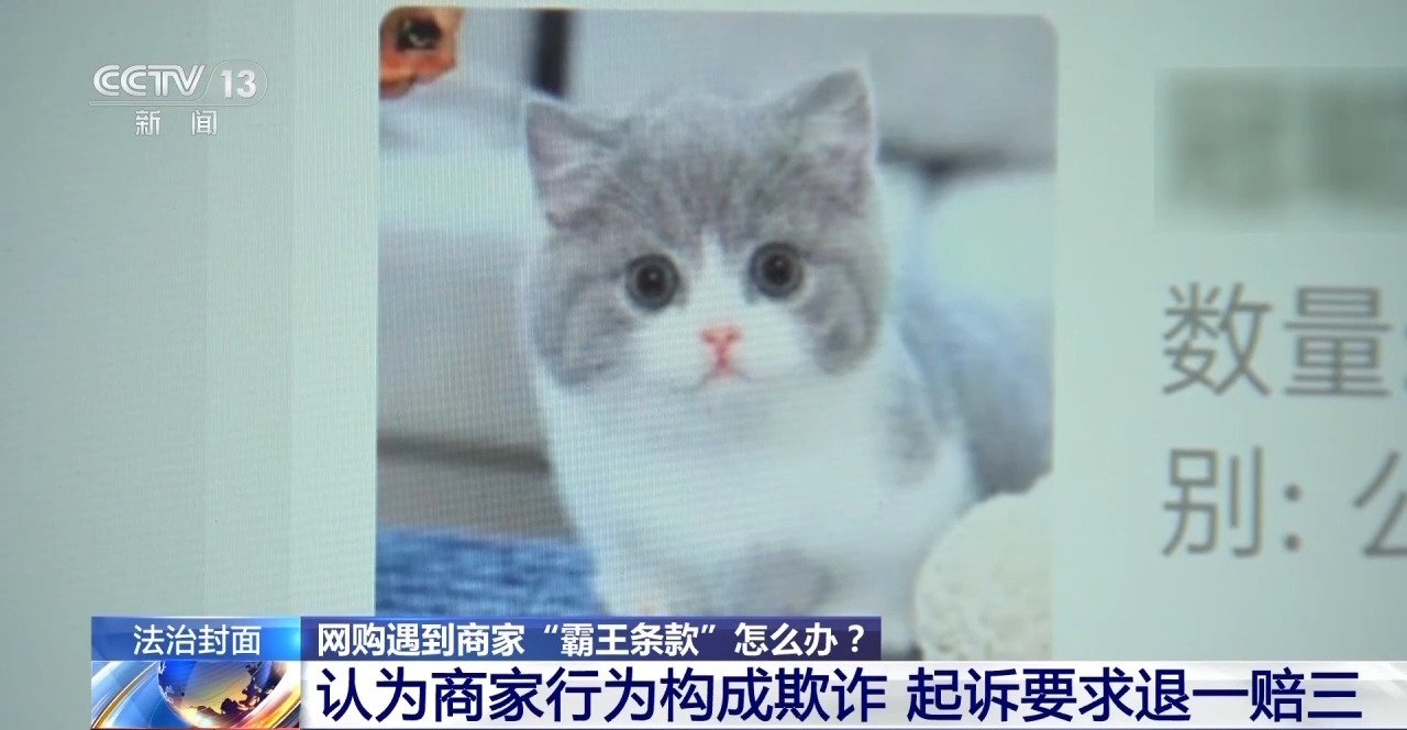 下單不退換、簽收即認(rèn)可 網(wǎng)購遇“霸王條款”怎么辦？