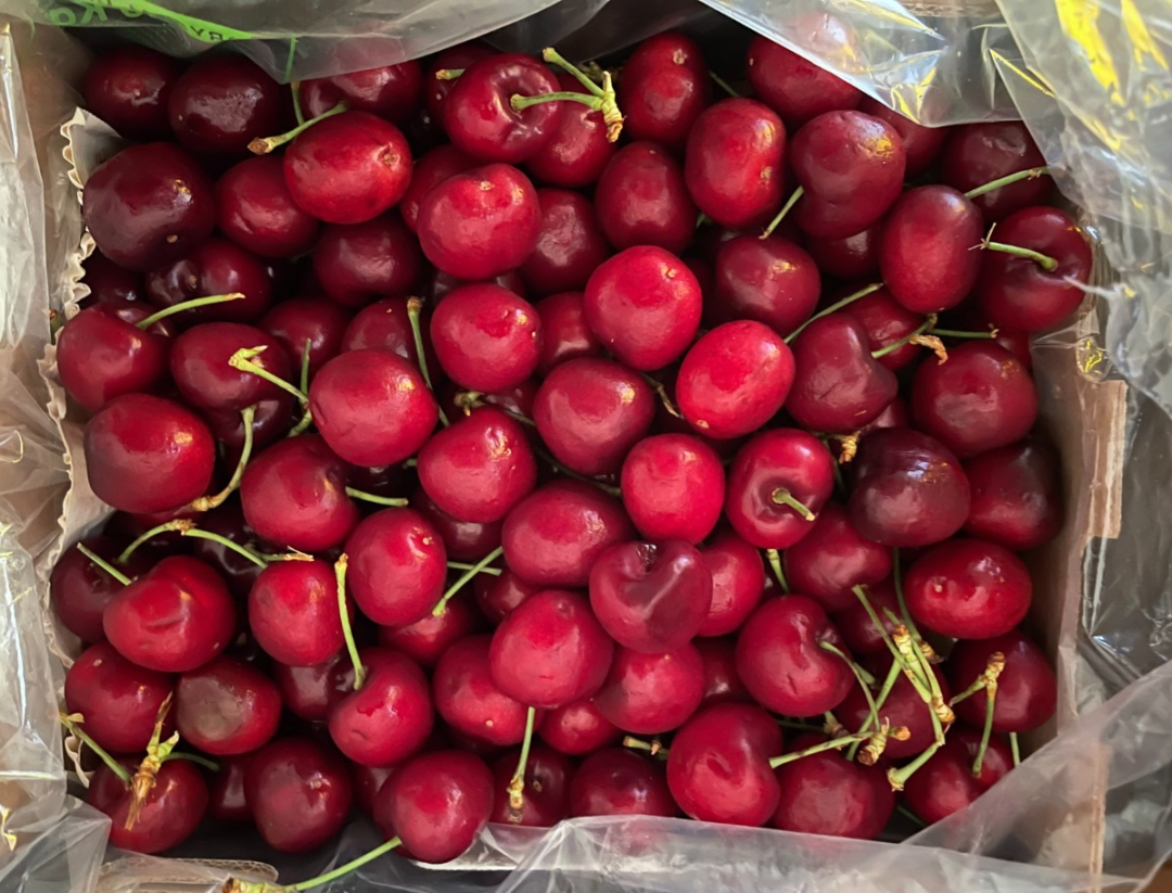 “車?yán)遄印薄按髾烟摇庇泻螀^(qū)別?