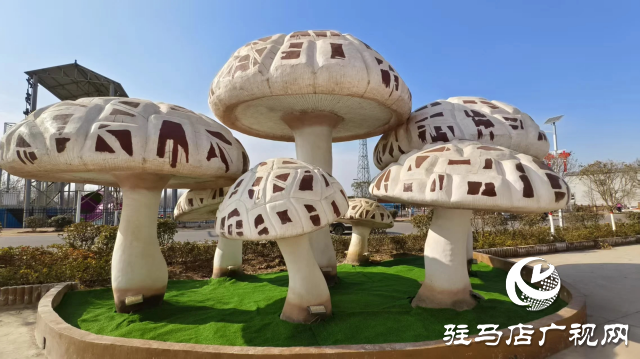 公交直達(dá)！泌陽(yáng)縣花菇博物館開啟奇妙之旅