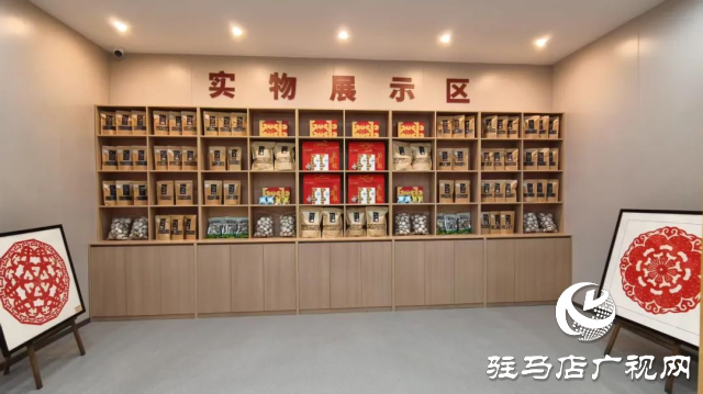 公交直達(dá)！泌陽(yáng)縣花菇博物館開啟奇妙之旅