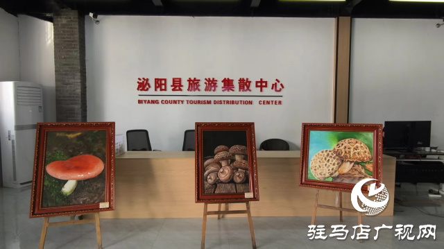 公交直達(dá)！泌陽(yáng)縣花菇博物館開啟奇妙之旅