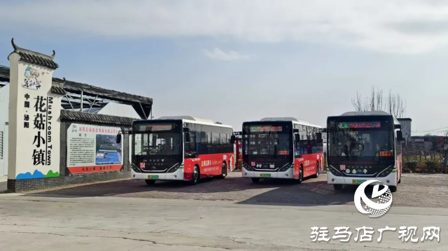 公交直達(dá)！泌陽(yáng)縣花菇博物館開啟奇妙之旅