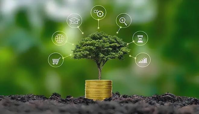 綠色消費(fèi)成年輕人“心頭好”