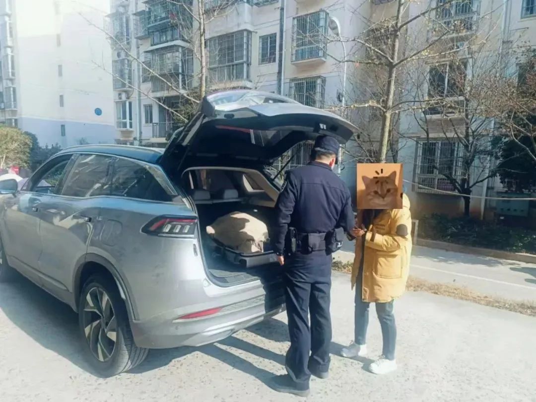 “網(wǎng)約車送現(xiàn)金”可修復(fù)數(shù)據(jù)返現(xiàn)？“這群里除了你，都是托！”
