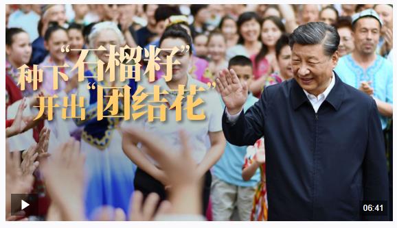 總書(shū)記關(guān)心的事丨種下“石榴籽” 開(kāi)出“團(tuán)結(jié)花”
