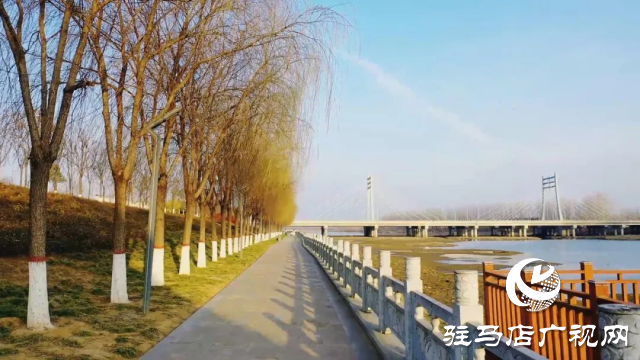 泌陽菌都公園:蘑菇雕塑點亮童話與文化之光