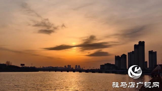 泌陽菌都公園:蘑菇雕塑點亮童話與文化之光